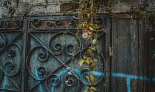 墨西哥的人种是什么 墨西哥是什么人种